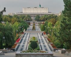 В Узбекистане стали выдавать образовательные кредиты